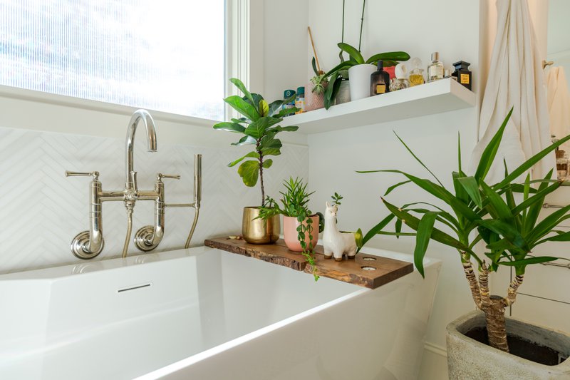 Biophilic home design